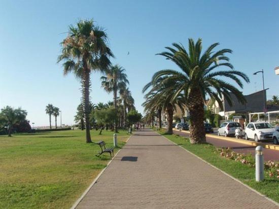 La Conchiglia Apartman Porto SantʼElpidio Kültér fotó